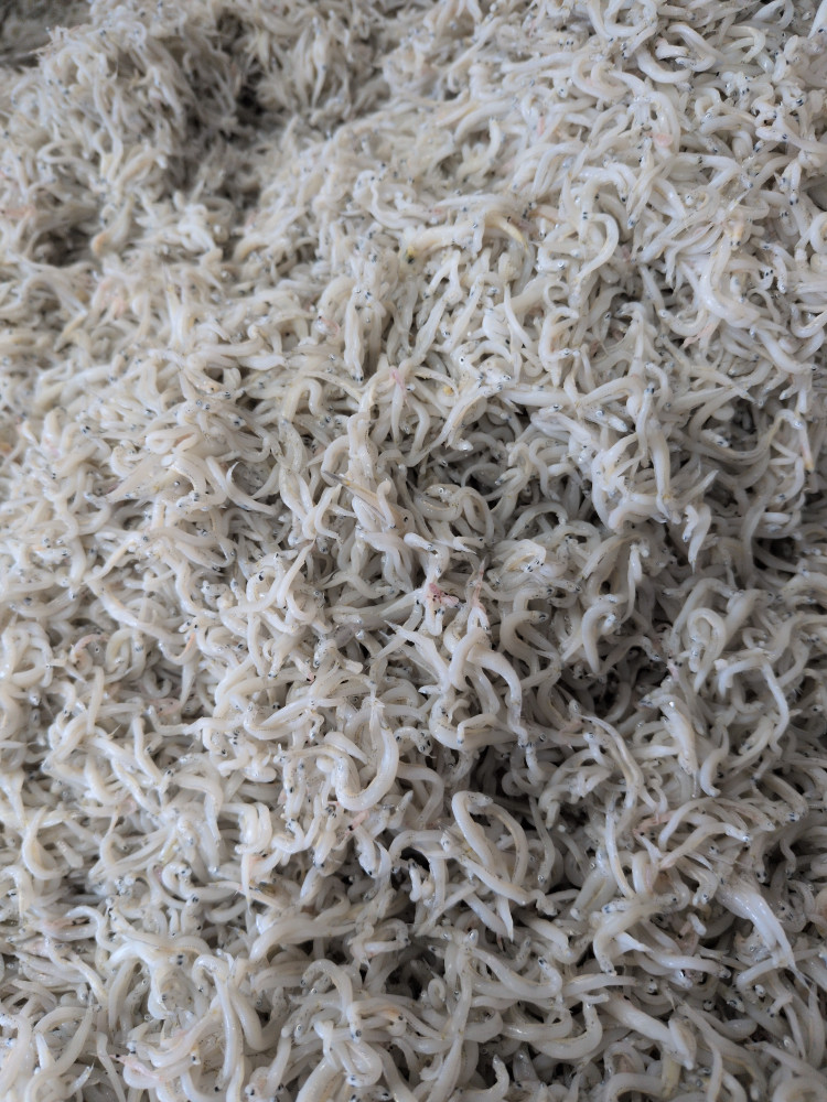 少しとれました