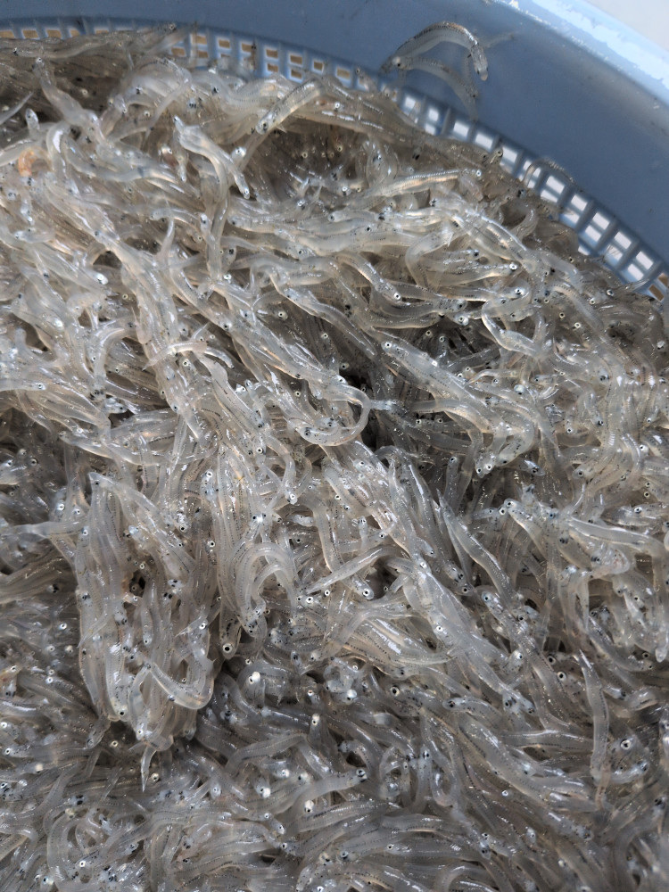 今日もイイ感じです